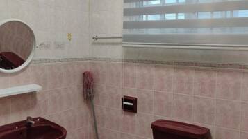 Shower, hair dryer, towels, shampoo