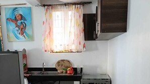 Una cocina compacta con estufa a gas, horno y pileta. Se observa una ventana con cortina floral y un cuadro en la pared.