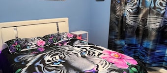 Cozy house close to the airport
A safe area located in telegraph
close 94 fwy