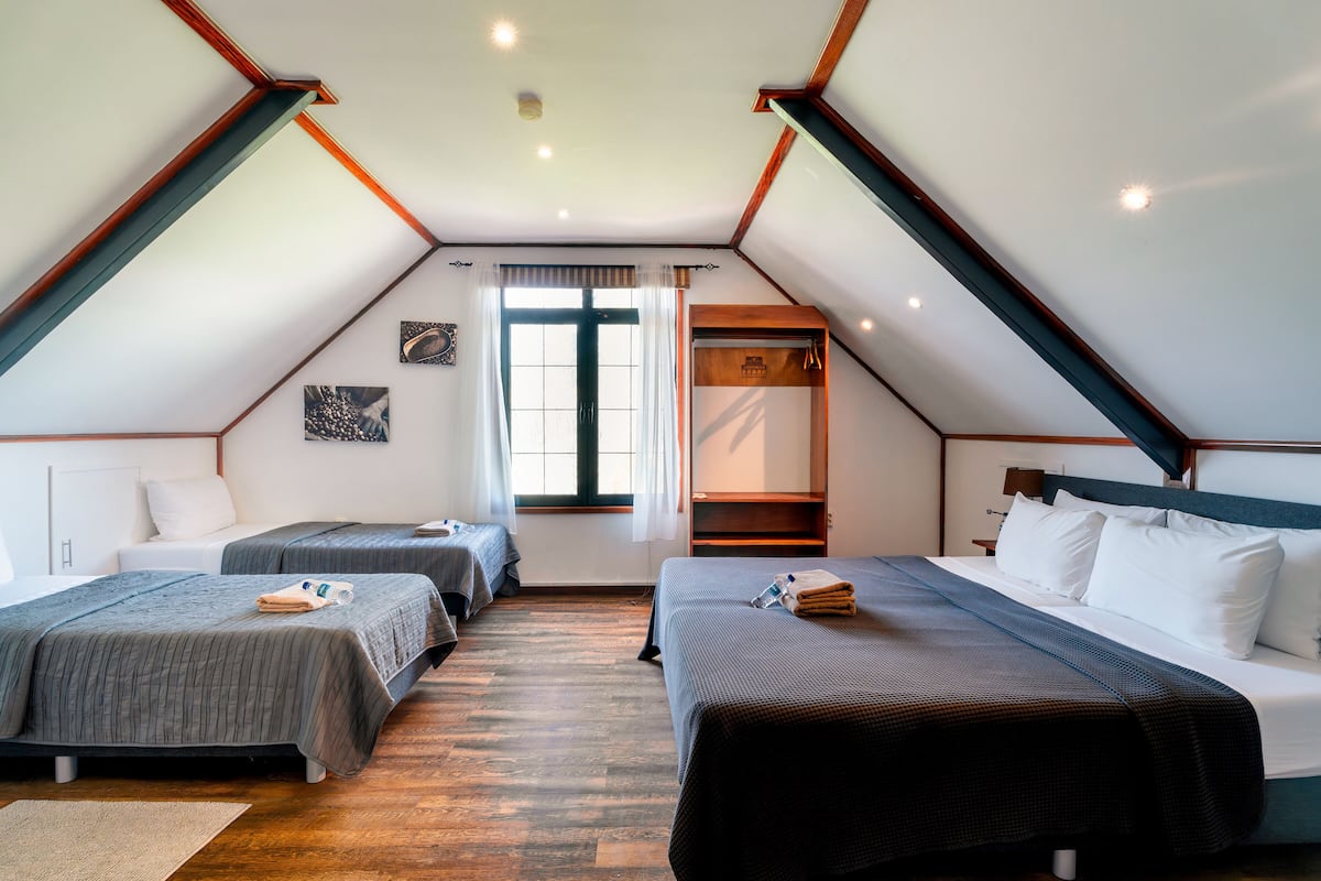 Una habitación con dos camas, una ventana y un espejo.