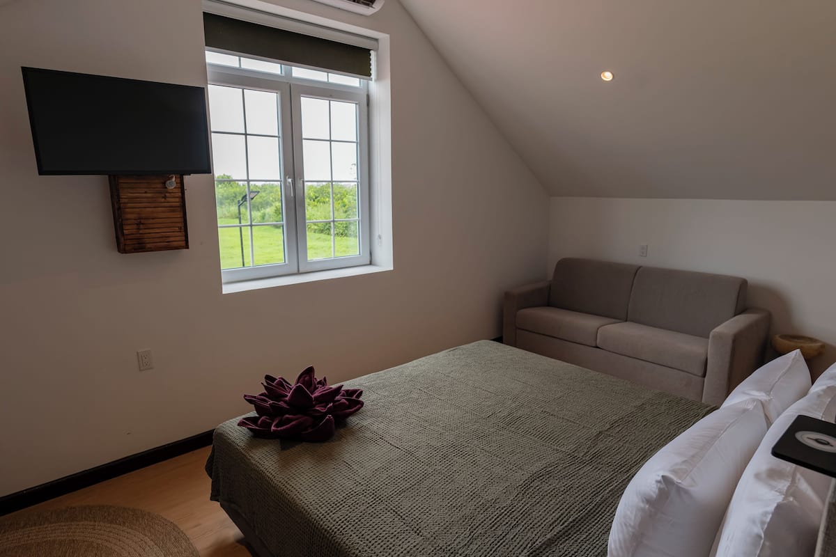 Premium Room | In-room safe, desk, free WiFi, bed sheets