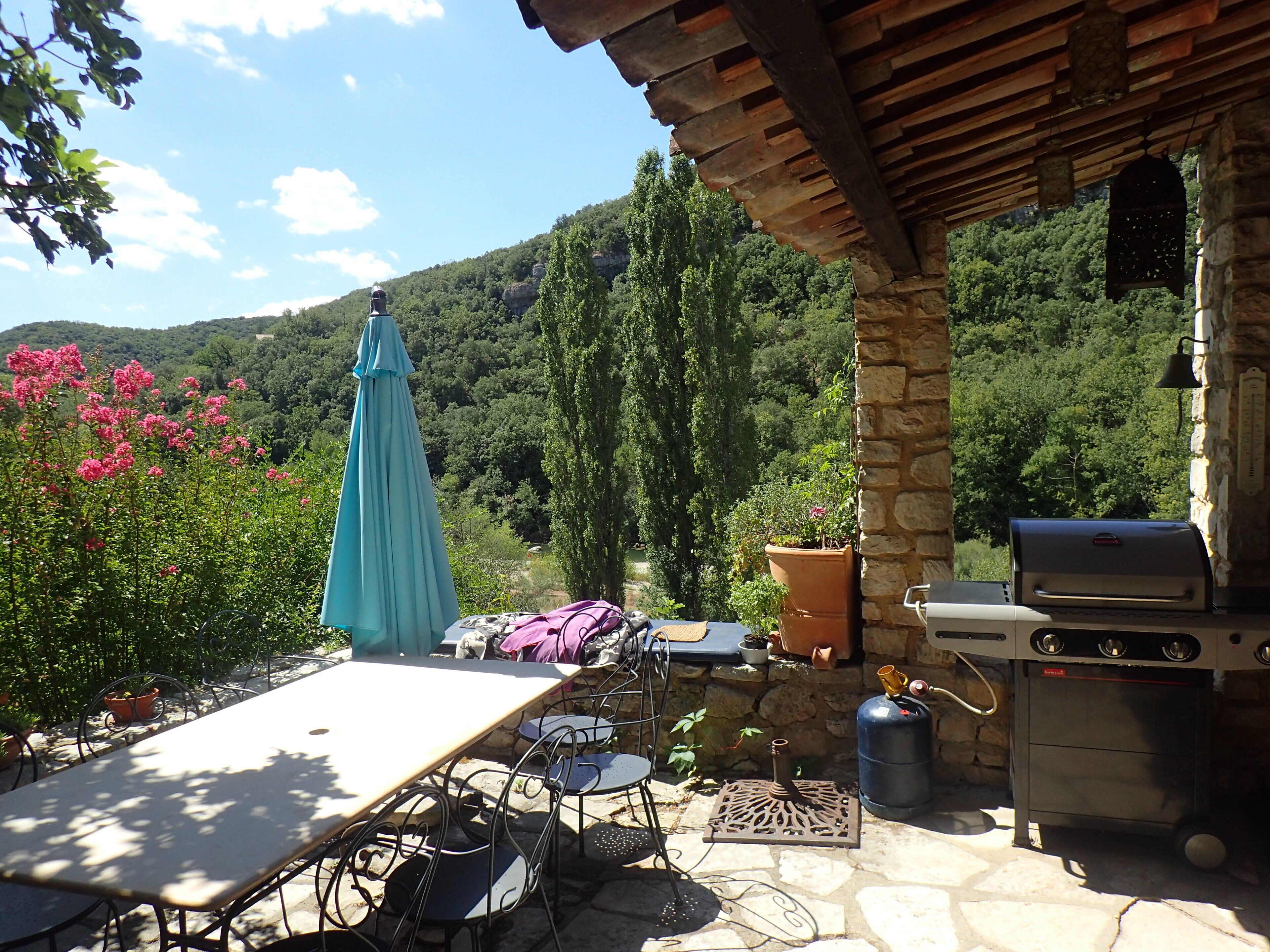 Une terrasse extérieure avec une table et des chaises, un barbecue, des plantes en pot et une vue sur une colline boisée.