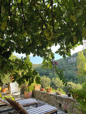 Terrace/patio - Fabulous large home in Montclus overlooking the river with private pool (Montclus)