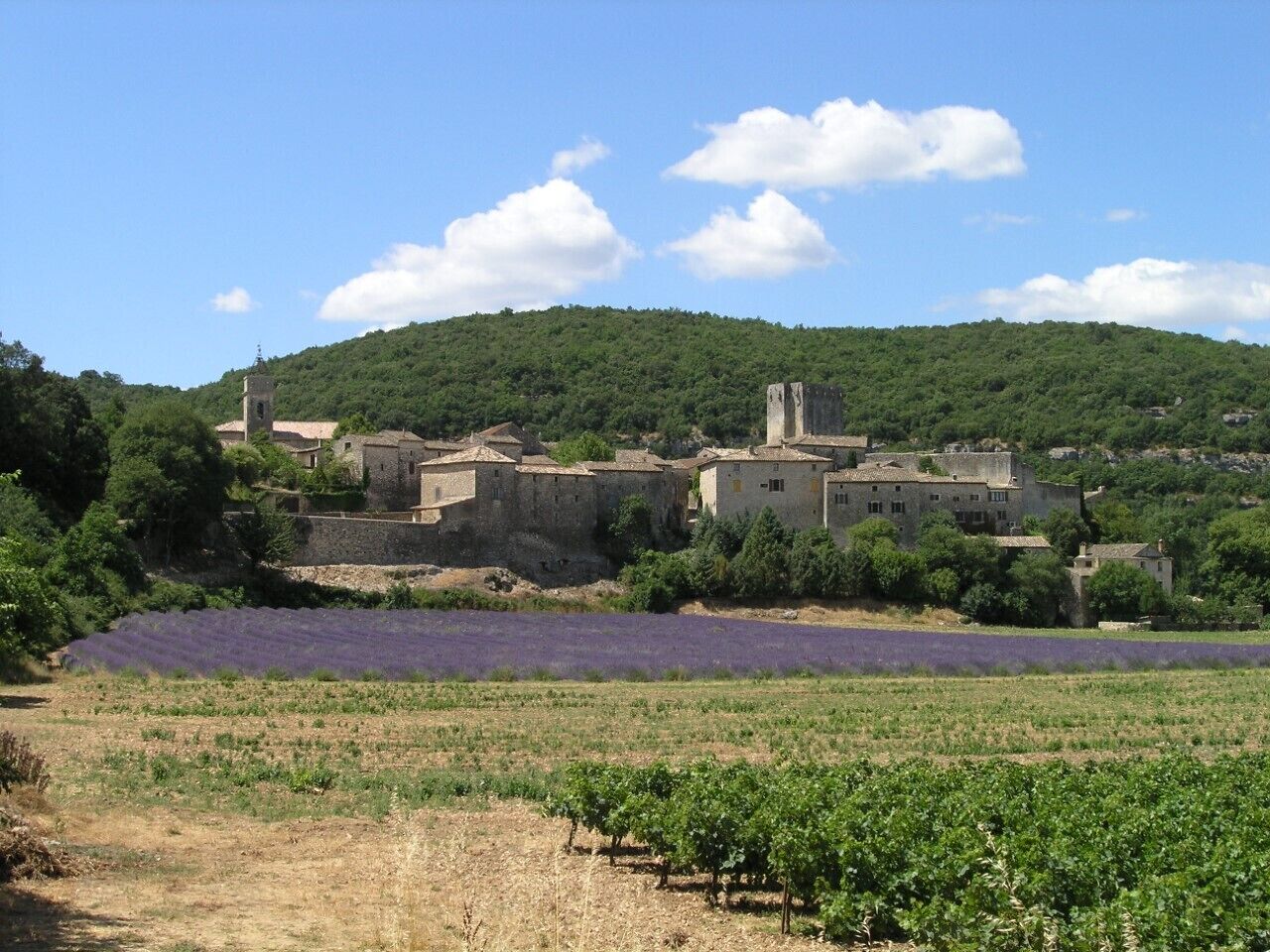 A historic village with stone buildings and a lavender field.