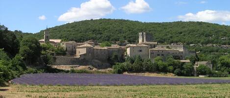 A historic village with stone buildings and a lavender field.