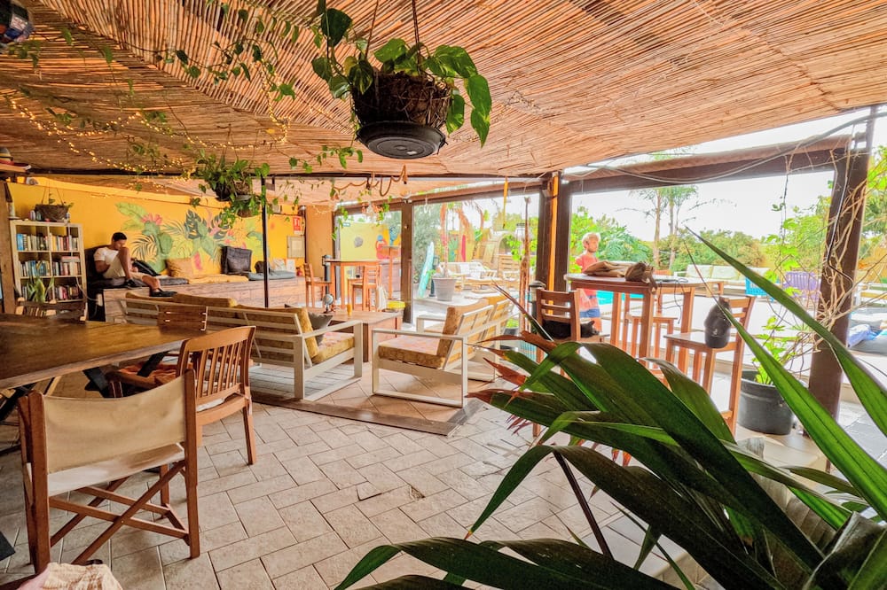 Los Amigos Nest Hostel