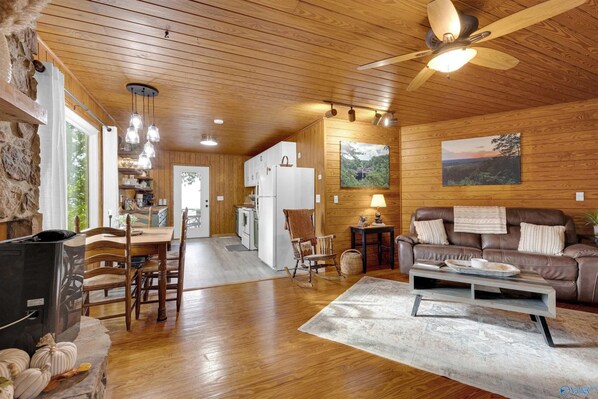 Smart TV, fireplace, books