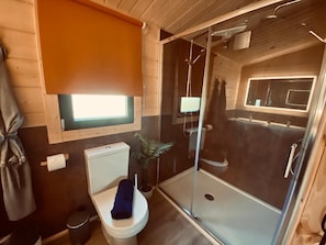 A bathroom with a toilet, a shower enclosure, and a window.