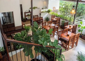 Amplio espacio interior con varias mesas y sillas de madera, rodeado de plantas en macetas.