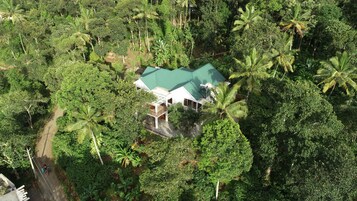Vista aérea de una casa rodeada de exuberante vegetación tropical, con palmeras.