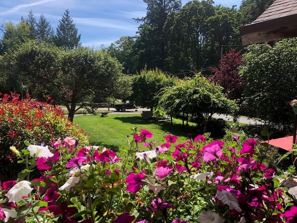 Property grounds - Cole's Bay Vacation Retreat Cole's Bay Suite (Sidney)