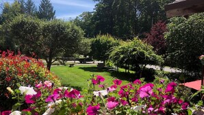 A garden with various flowers and trees.
