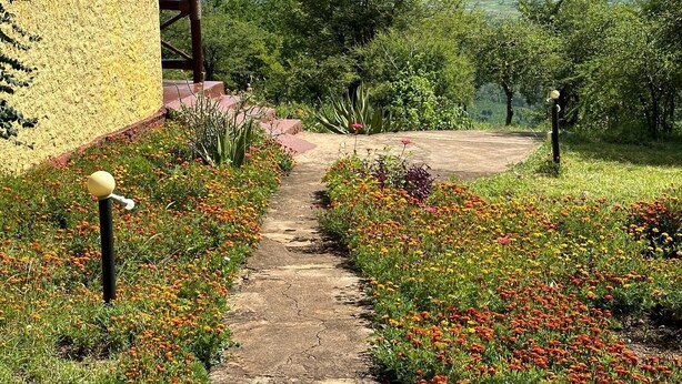 Uma trilha leva a um edifício com fachada amarela, cercado por flores coloridas e vegetação.