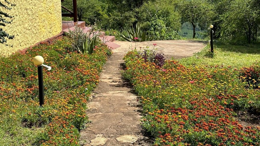 African Sunrise Lodge and Campsite