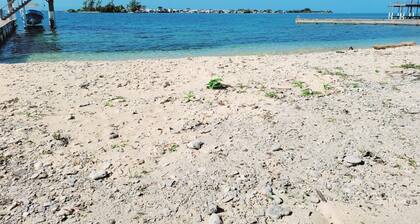 Lavender House at Treasure Beach - Secluded Beach House