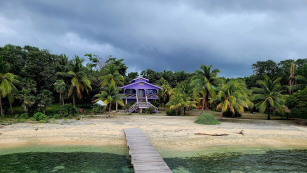 A beach house with a wooden deck leading to the entrance, surrounded by palm trees and a clear view of the ocean. - Lavender House at Treasure Beach - Secluded Beach House (Bay Islands Department)