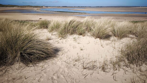 Un paysage côtier avec des dunes de sable et une plage.