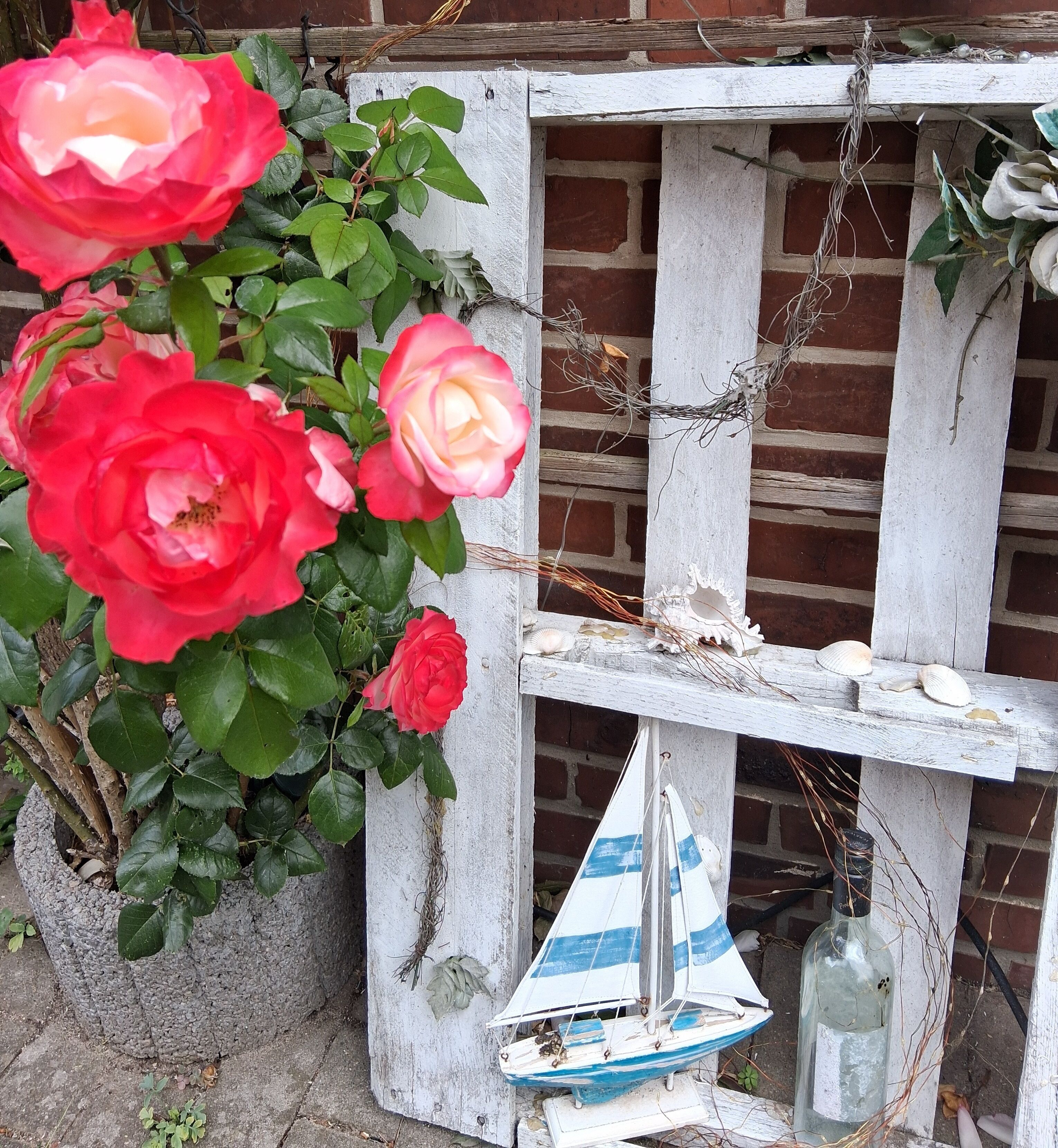 A rustic wooden structure with a sailboat model and roses.