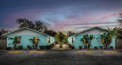 Luxurious 2 bedroom near Innisbrook Golf Resort!