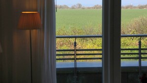 Habitación con vista a un campo verde a través de una ventana con barandilla de metal.