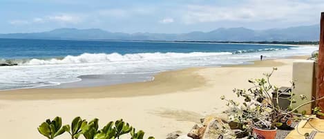 Plage, chaises longues, serviettes de plage