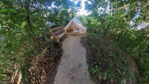 Un área boscosa con un sendero de tierra que lleva a una estructura pequeña similar a una tienda de campaña.