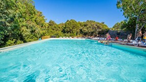 A clear blue pool surrounded by lush greenery and trees.