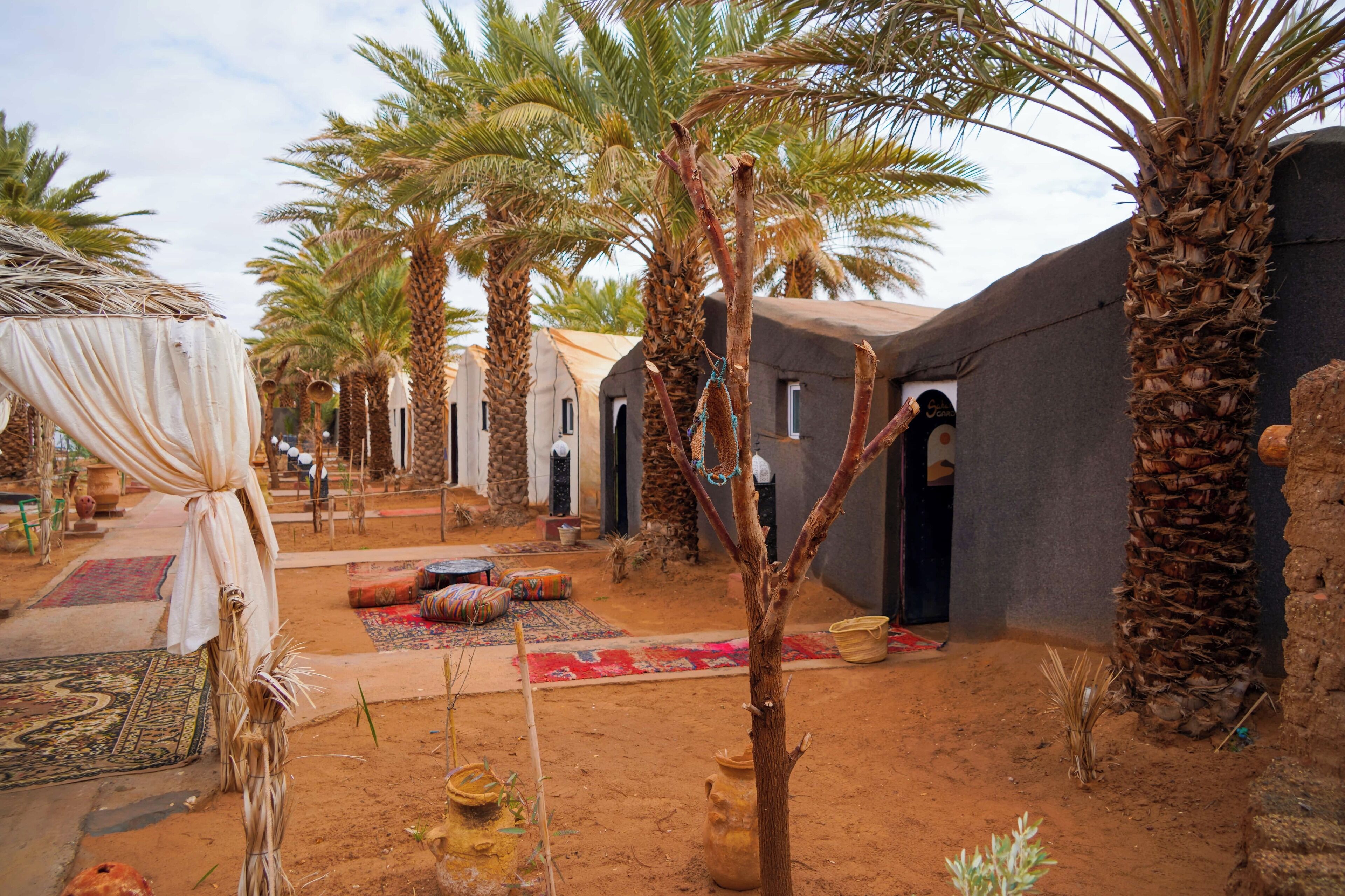 A courtyard with palm trees, a thatched-roof structure, and traditional rugs.
