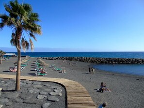 Una playa con sillas de descanso y una palmera.