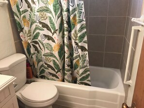 Dusche, Haartrockner, Handtücher, Seife