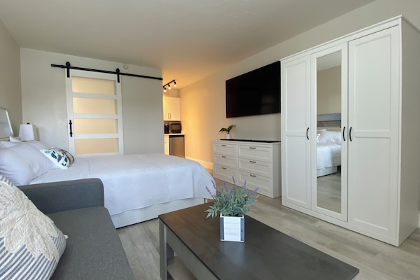 View of barn door and kitchenette