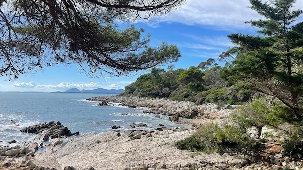 A rocky beach with trees and a clear view of the sea. - Bright, quiet apartment between the beach and Antibes old town, with parking (Antibes)
