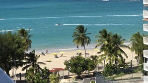 A beach with palm trees, a sandy shore, and a few people.