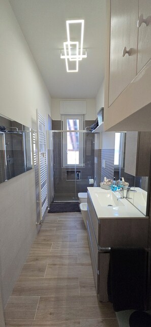 Regadera, secadora de cabello, bidet, toallas 