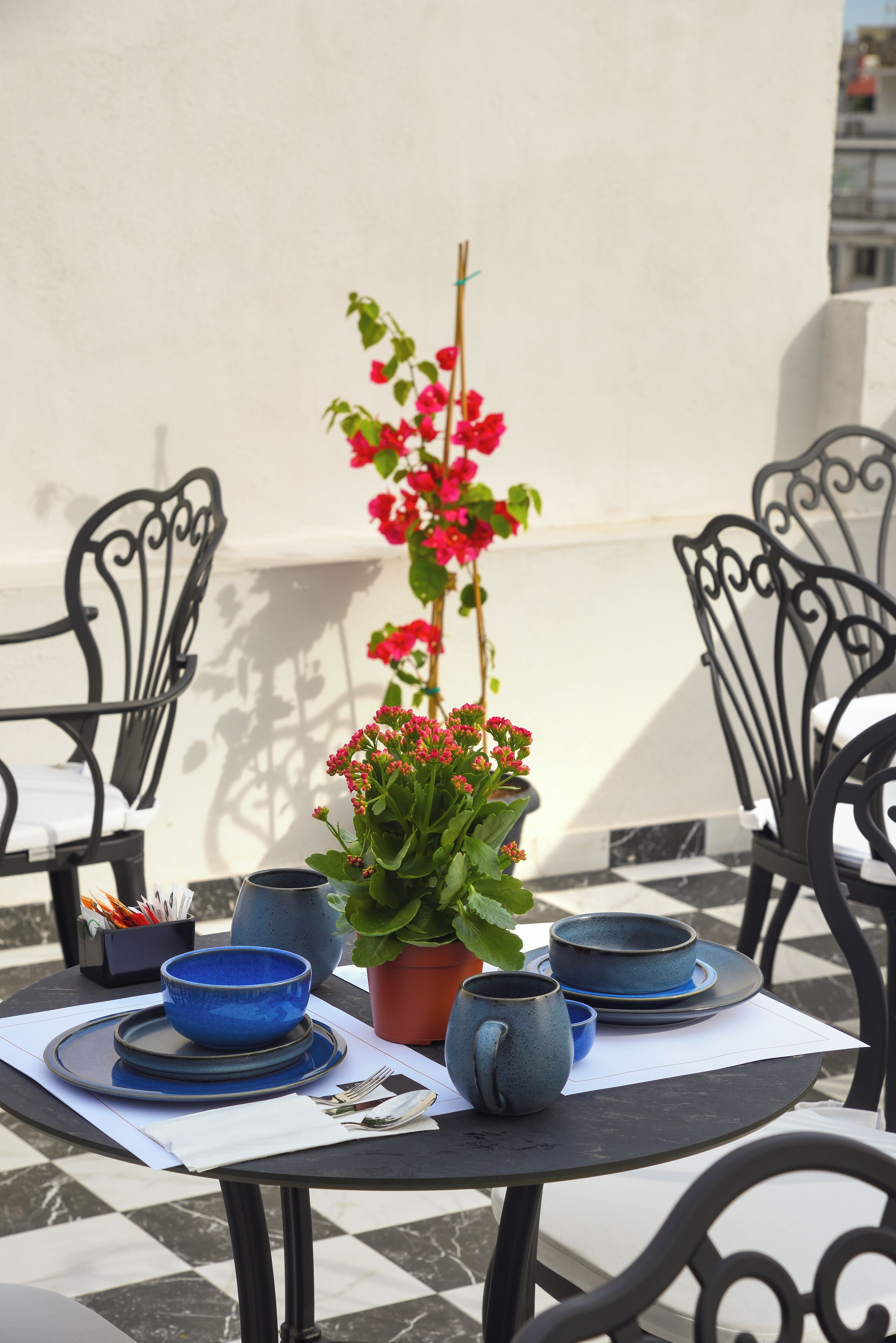 A table set with blue dishes, a potted plant with red flowers, and black metal chairs.