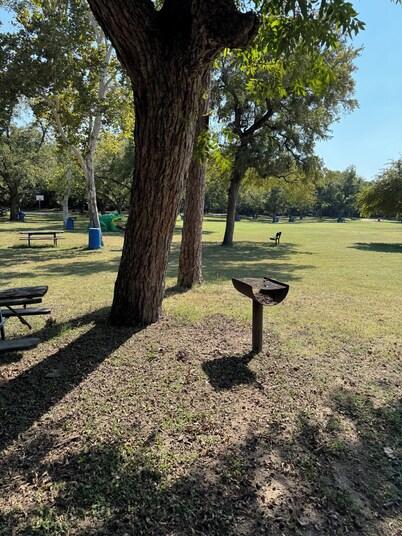 Burgers Lake Campsites