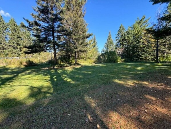 A grassy field with tall trees and a clear blue sky. - Northern Wilderness Memories (Dafter)