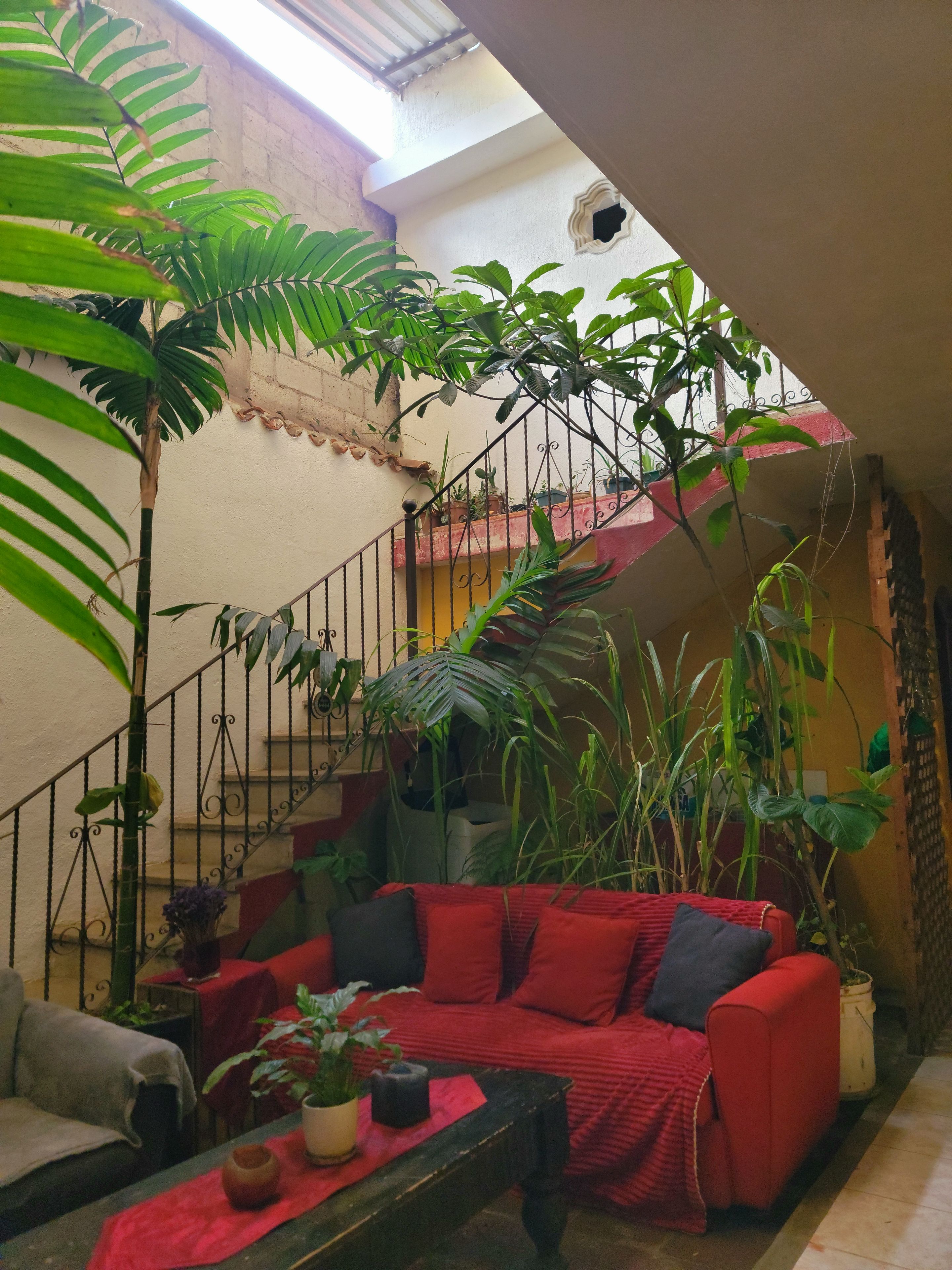 Un espacio interior acogedor con un sofá rojo, una escalera y varias plantas en macetas.