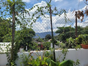 Una cerca de malla con follaje y un paisaje montañoso al fondo.