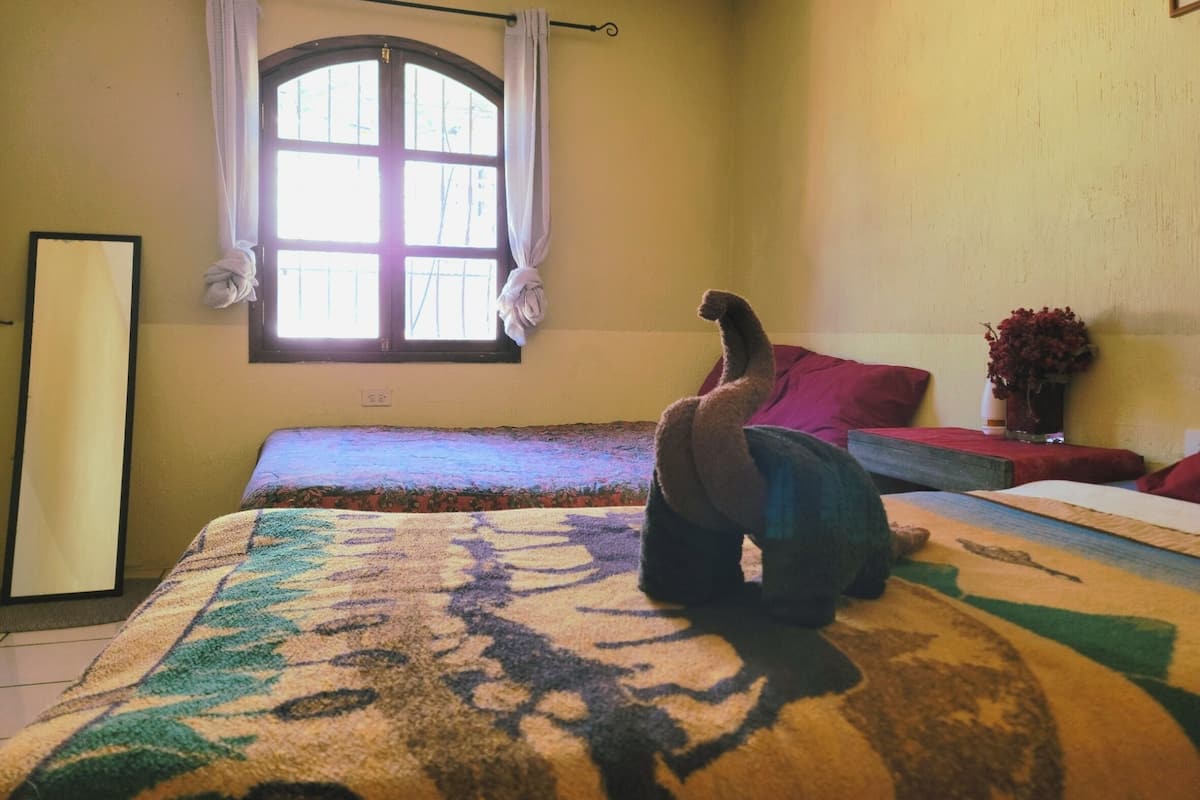 AccĂšs au Wi-Fi (inclus)