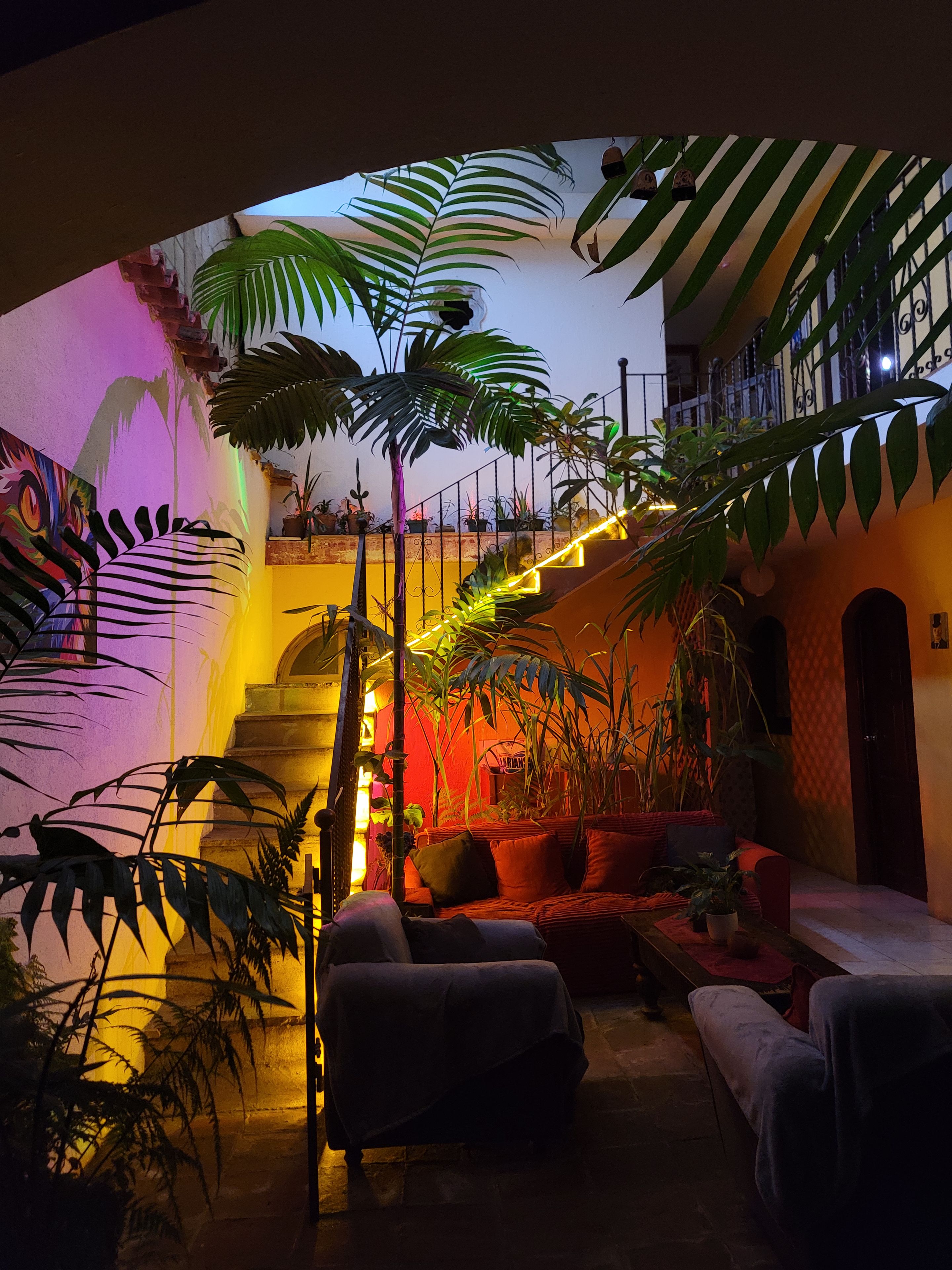 A cozy indoor space with a staircase, potted plants, and a sofa.