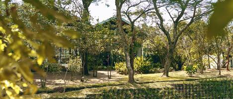 A swimming pool with lounge chairs and a grassy area with trees.