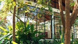 A building with large windows, surrounded by lush greenery. - IGWARA LODGE (Karuma)