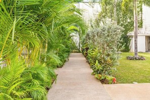 Property grounds - Tranquil Jungle Retreat: Pool, Bikes, Walk to Town (San Pancho)