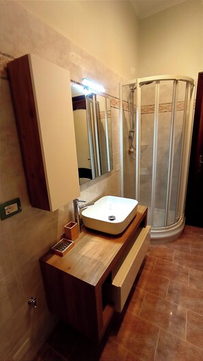 Shower, hair dryer, bidet, towels