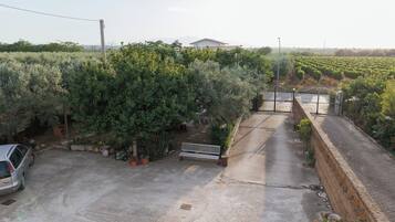 Área da propriedade