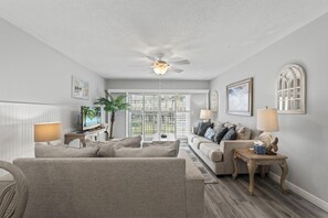 Télévision, lecteur de DVD, livres