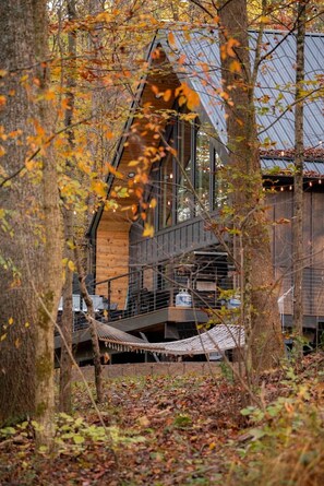 A modern cabin with a sloped roof, surrounded by trees and a hammock.
