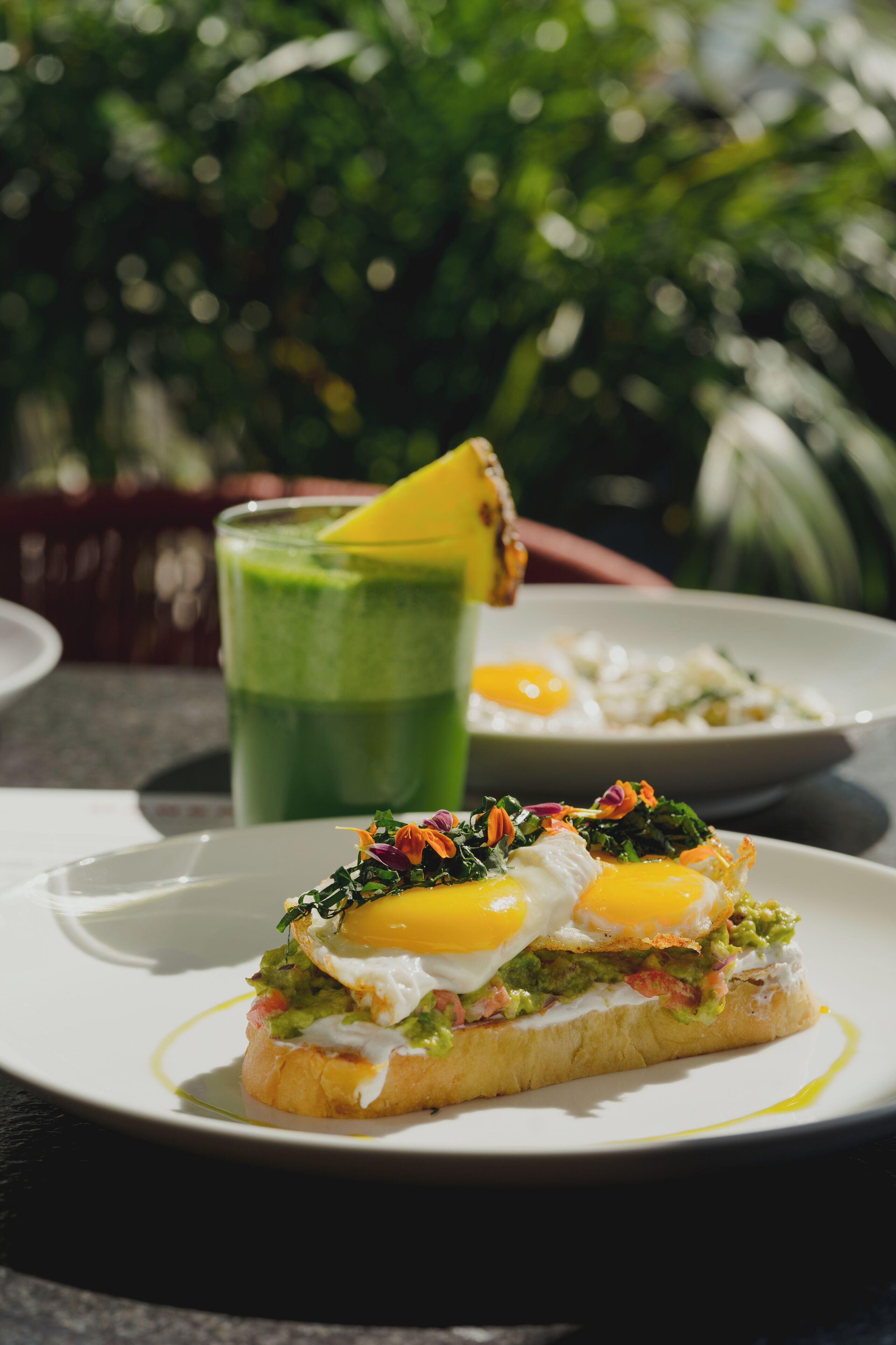 Foto - Quinto Hotel Boutique