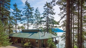 A cabin with a metal roof, surrounded by tall trees and a body of water.